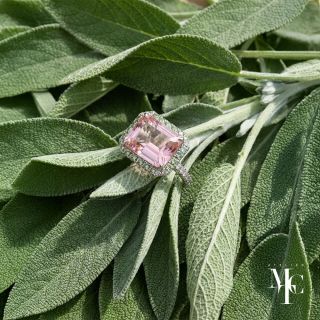 AI creation for A. E. Köchert